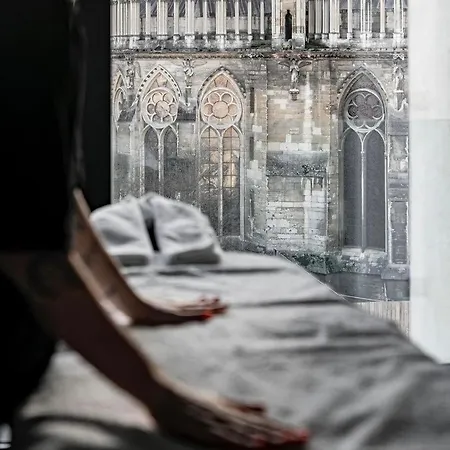 Les 7 Anges - Parking, Vue Cathedrale & Centre Historique Daire